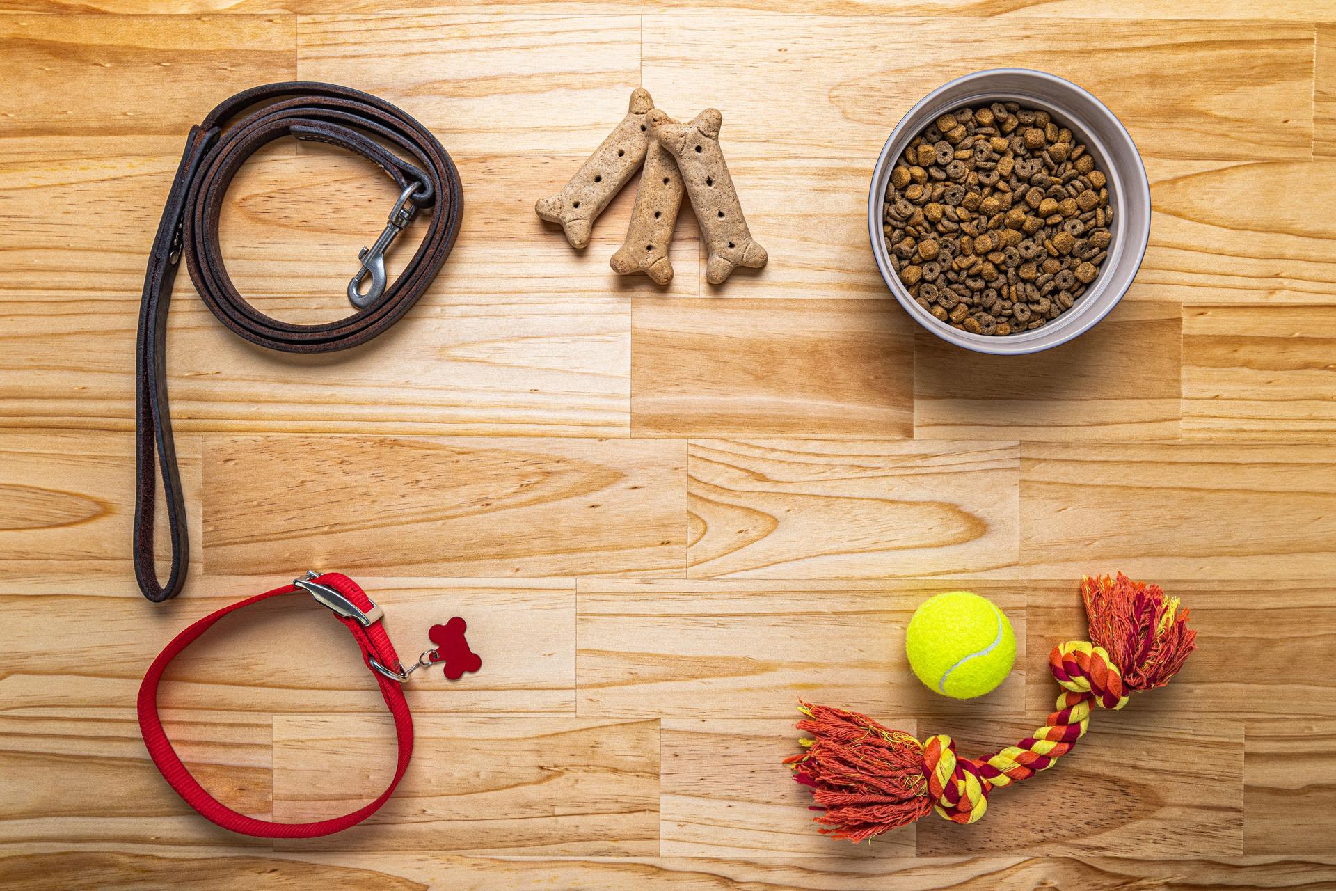 Overhead view of various dog accessories on wooden block table